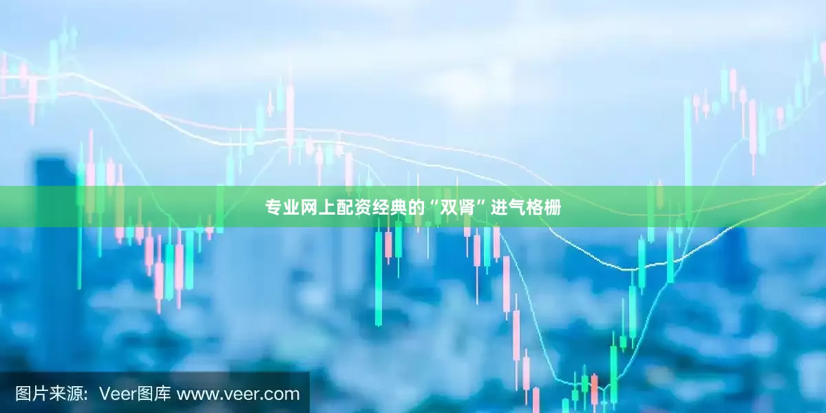 专业网上配资经典的“双肾”进气格栅