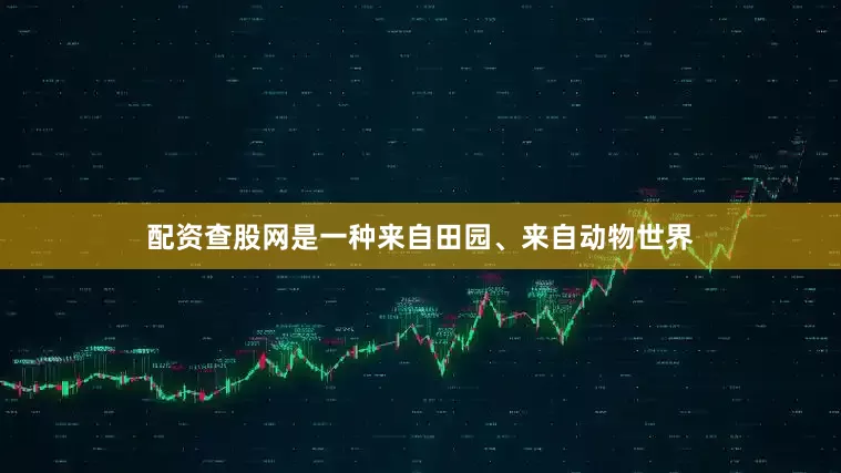 配资查股网是一种来自田园、来自动物世界
