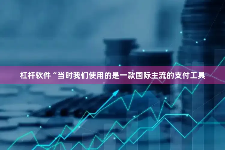 杠杆软件“当时我们使用的是一款国际主流的支付工具