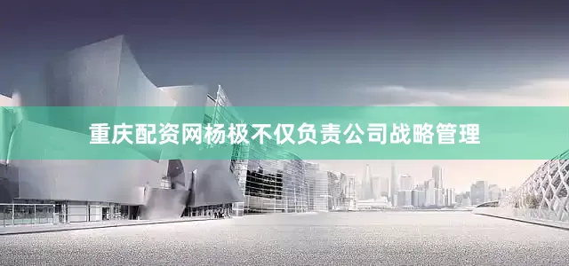 重庆配资网杨极不仅负责公司战略管理