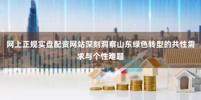 网上正规实盘配资网站深刻洞察山东绿色转型的共性需求与个性难题