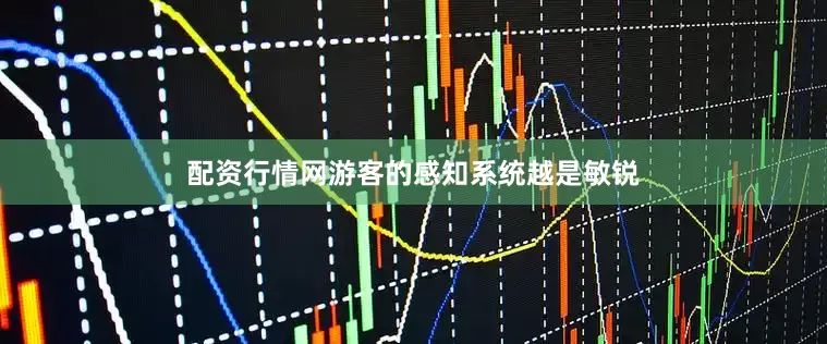 配资行情网游客的感知系统越是敏锐